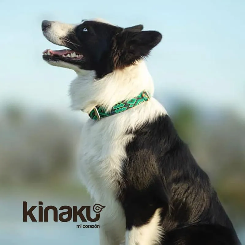 Hundeleine Becan S/M